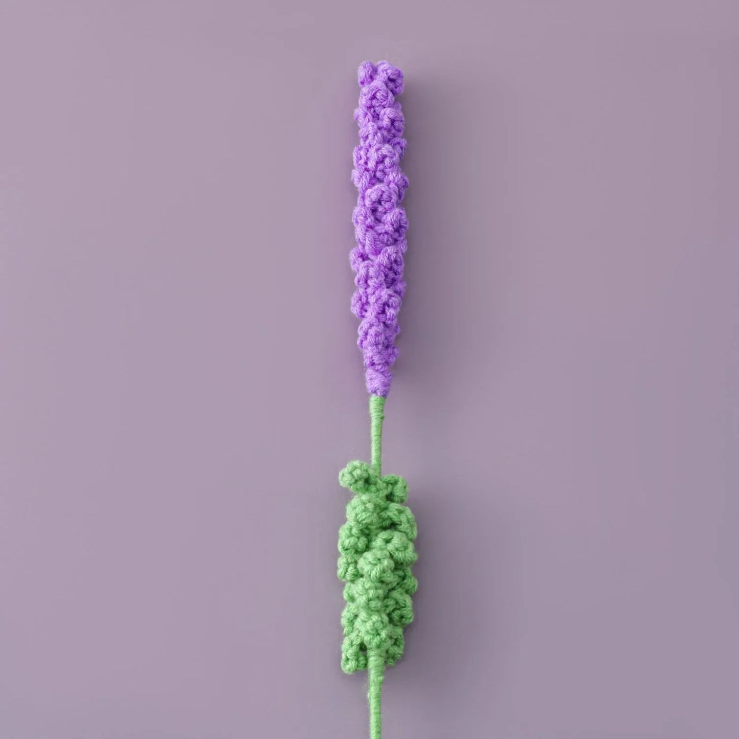 Lavande éternelle au crochet à composer – Rosa Cocon