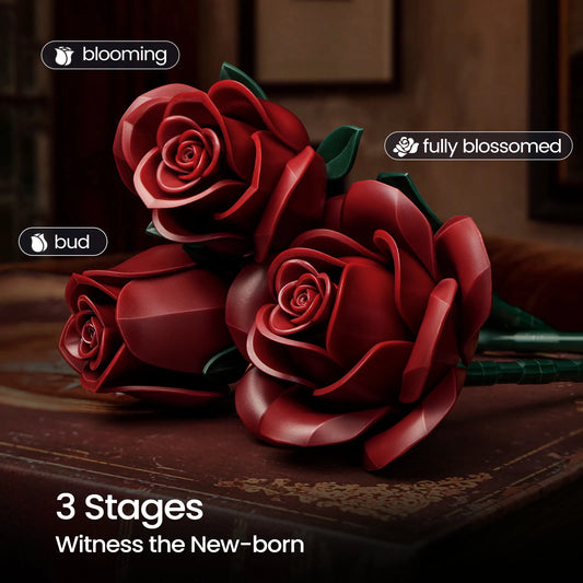 Offre un bouquet qui ne fane jamais… et crée un moment inoubliable.