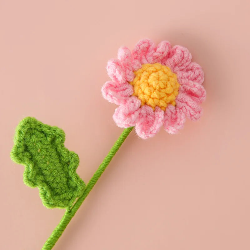 Marguerite éternelle à composer – Rosa Cocon