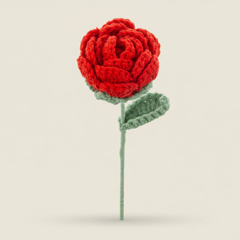 Rose éternelle Rosa Cocon – Fleur à composer pour bouquet