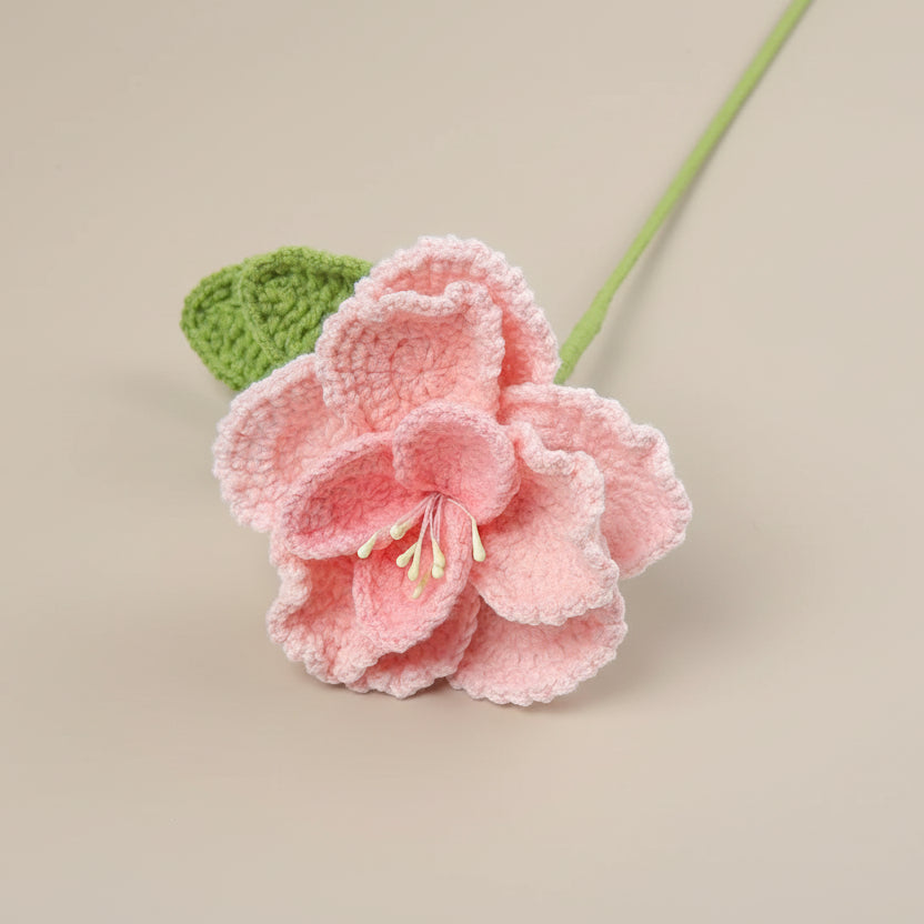 Fleur éternelle au crochet – Cadeau Fête des Mères | Bouquet à composer Rosa Cocon