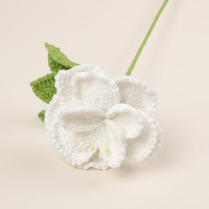 Fleur éternelle au crochet – Cadeau Fête des Mères | Bouquet à composer Rosa Cocon