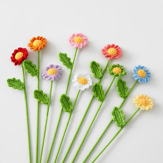 Marguerite éternelle à composer – Rosa Cocon