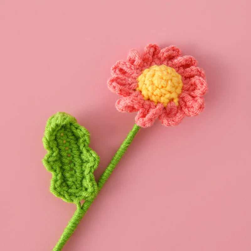 Marguerite éternelle à composer – Rosa Cocon